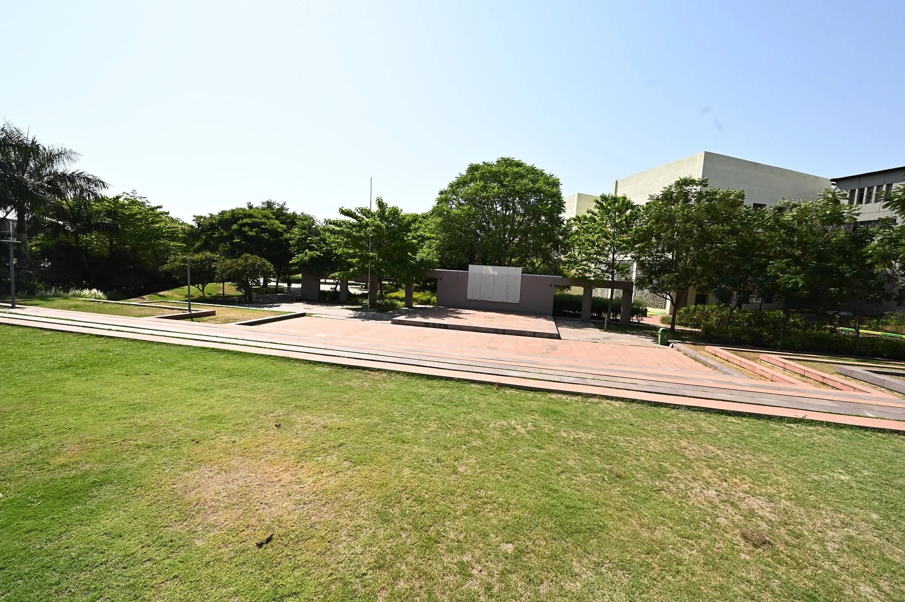 From Rural Classrooms to Professional Excellence